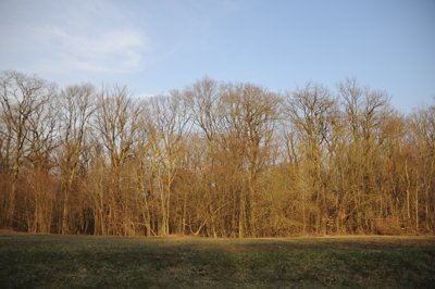 3 couleurs_4455140014_l.jpg